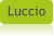 Luccio